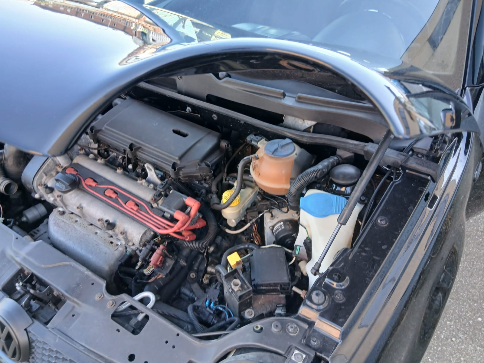 Volkswagen Lupo GTI 65